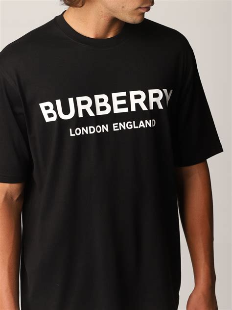 temu burberry
